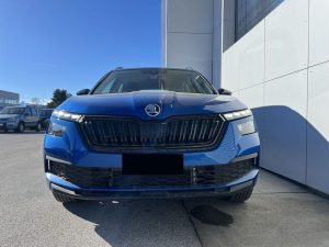 Skoda Kamiq  Kamiq 1.0 TSI 110 CV Monte Carlo